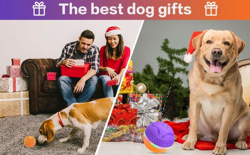 Golden retriever dog playing with durable chew toy โ eco friendly pet toy worldwide delivery