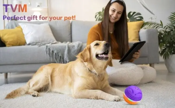 Interactive Dog Toys Ball, Automatic Rolling Toy, Lively Pet Ball For Medium ,Large Dogs To Relieve Boredom, Activated Automatic Motion Dog Balls Toy With LED Flash, USB Rechargeable Orange Purple - Image 2