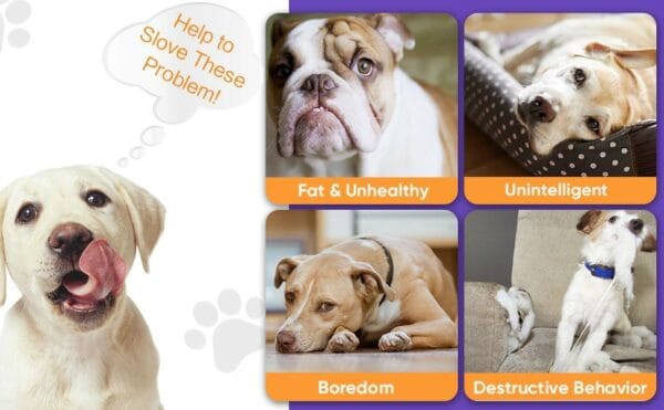 Interactive Dog Toys Ball, Automatic Rolling Toy, Lively Pet Ball For Medium ,Large Dogs To Relieve Boredom, Activated Automatic Motion Dog Balls Toy With LED Flash, USB Rechargeable Orange Purple - Image 8